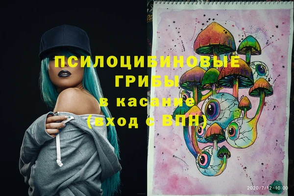 винт Гусиноозёрск