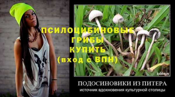 винт Гусиноозёрск
