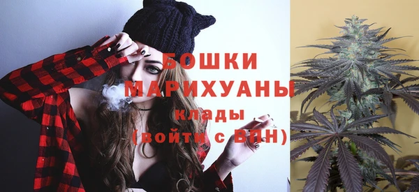 винт Гусиноозёрск