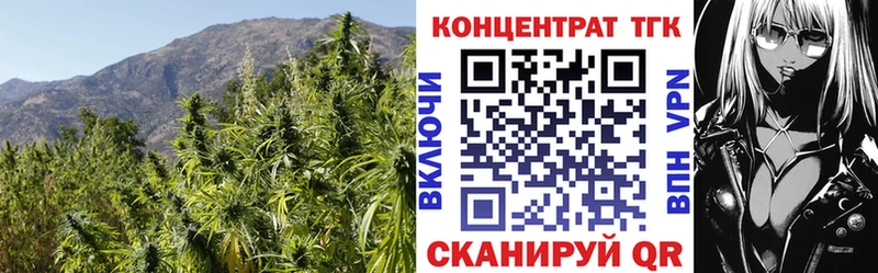 что такое   Питкяранта  Дистиллят ТГК THC oil 